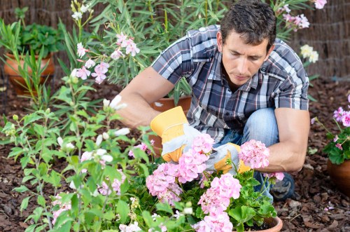 Crew sorting green waste for eco-friendly disposal